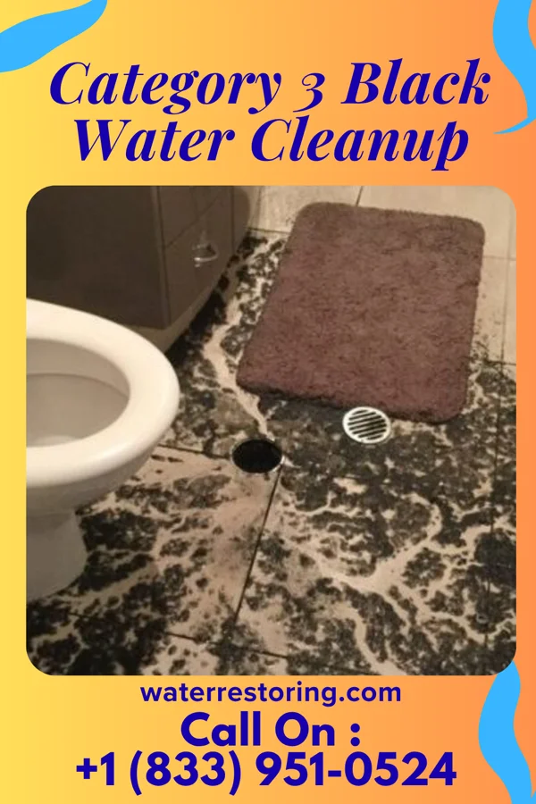 Category 3 Black Water Cleanup in Parkway Village, KY