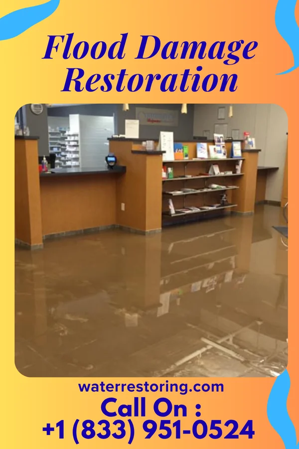 Flood Damage Restoration in Parkway Village, KY